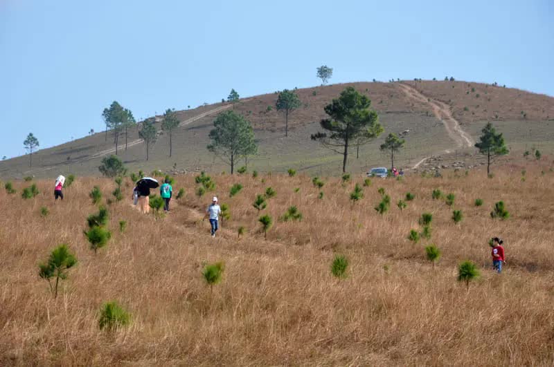 Chi phí đến đỉnh núi Ba Tầng ngắm bức tranh hoàng hôn đẹp như Thụy Sĩ mùa cỏ cháy - Ảnh 2. Chi phí đến đỉnh núi Ba Tầng ngắm bức tranh hoàng hôn đẹp như Thụy Sĩ mùa cỏ cháy - Ảnh 2.