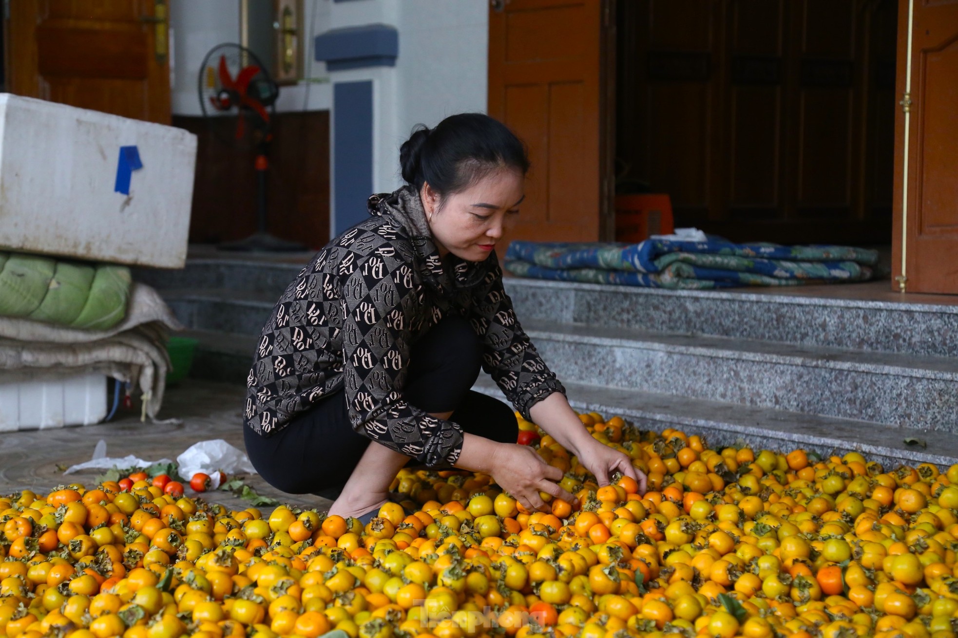 Thủ phủ hồng mất mùa, vì sao người trồng vẫn phấn khởi? - Ảnh 7.