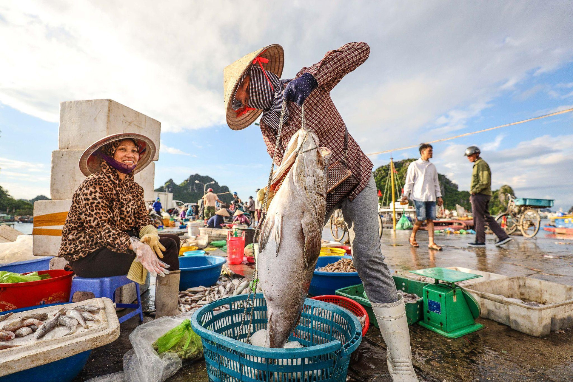‏Tỉnh thu ngân sách hơn 50.000 tỷ/năm sẽ trở thành thành phố trực thuộc Trung ương mà không có quận - Ảnh 12.