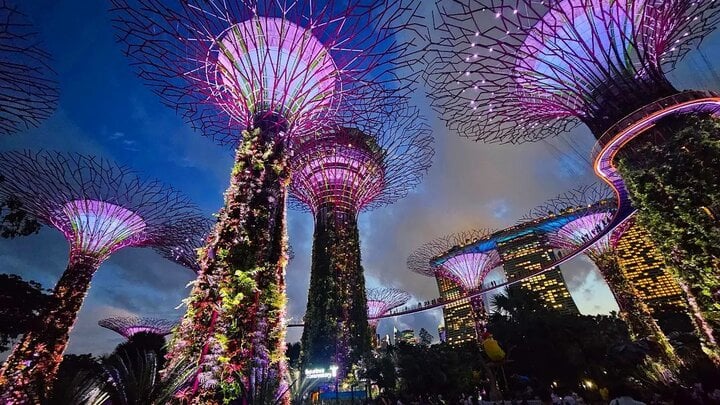 Địa điểm chụp hình đẹp ở Singapore hot nhất - Ảnh 1.