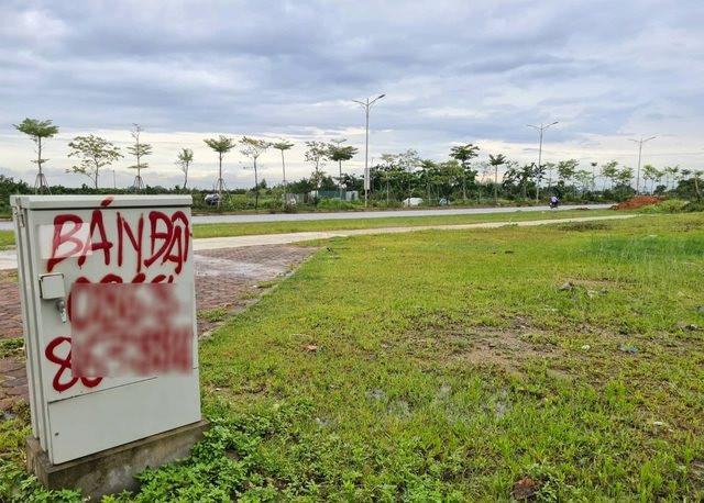 Đất nền Đông Anh đấu giá lên tới 100 triệu đồng/m2 - Ảnh 1.