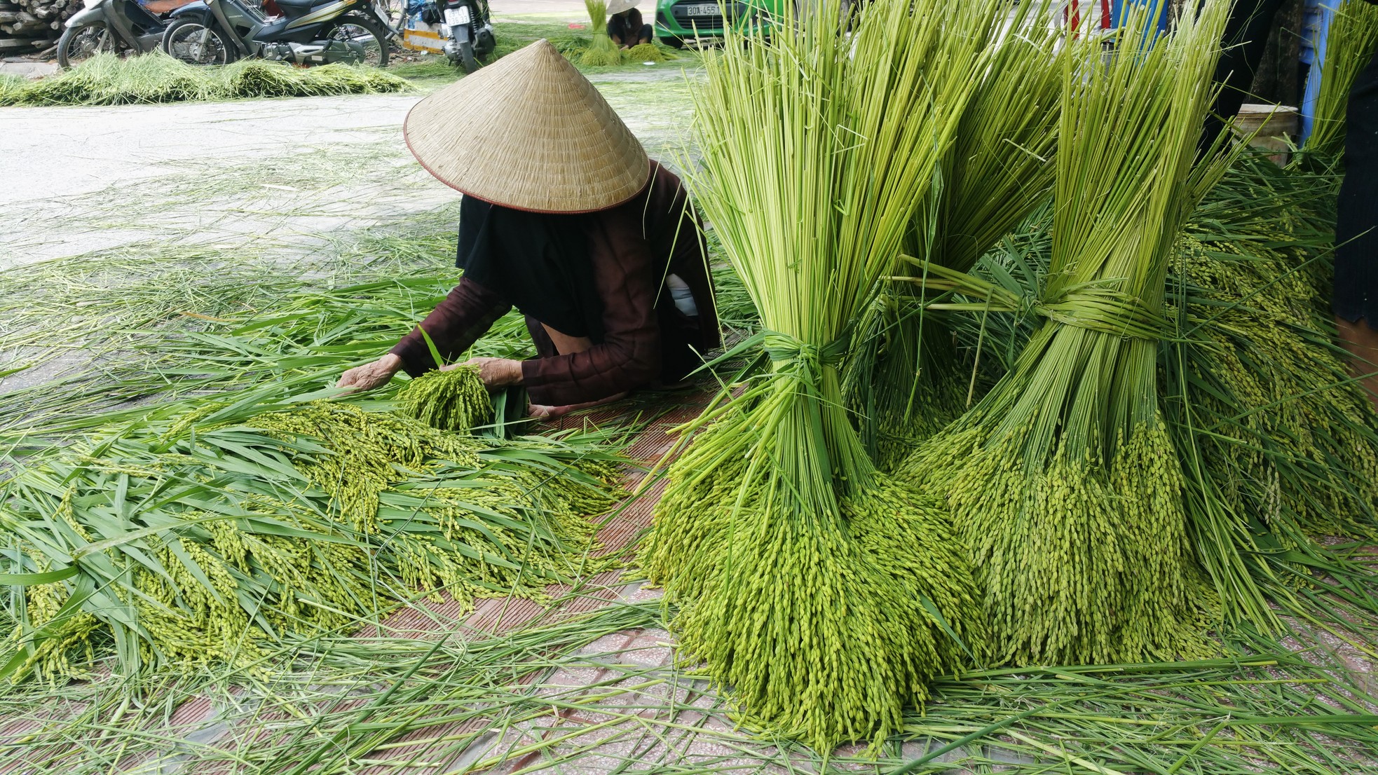 Làng Mễ Trì 'đỏ lửa', rộn ràng nhịp chày giã cốm - Ảnh 1.