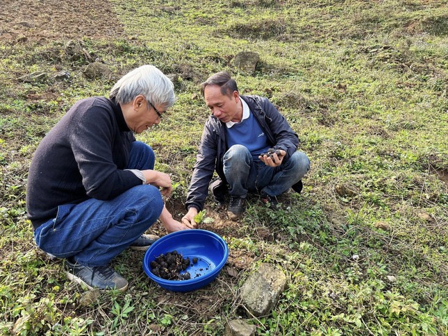Giám đốc học tiếng Mông để cùng dân bản biến cây củi thành đặc sản - Ảnh 6.