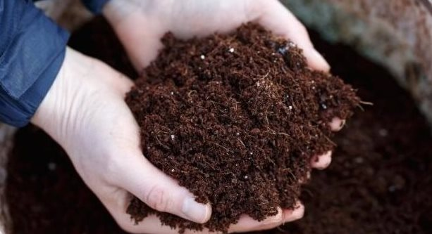 Giá rẻ phá kỷ lục, nhập khẩu một mặt hàng từ Lào vào Việt Nam bất ngờ tăng gấp 10 lần trong tháng 8 - Ảnh 1.