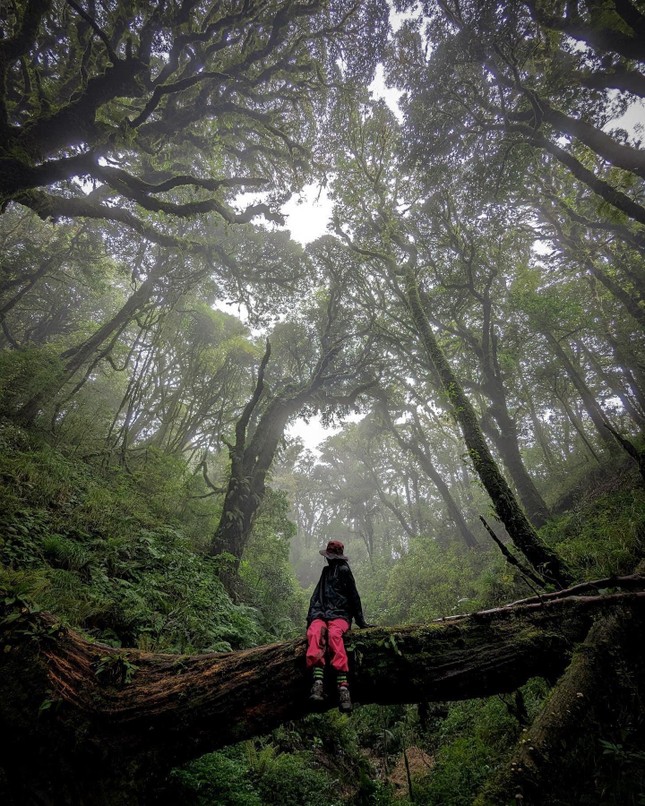 Những cung đường trekking nổi tiếng dành cho người ưa 'săn mây, hái sao' - Ảnh 3. Những cung đường trekking nổi tiếng dành cho người ưa 'săn mây, hái sao' - Ảnh 3.