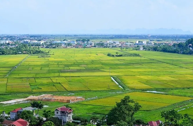 Khẩn trương thực hiện giảm tiền thuê đất của năm 2023 - Ảnh 1. Khẩn trương thực hiện giảm tiền thuê đất của năm 2023 - Ảnh 1.