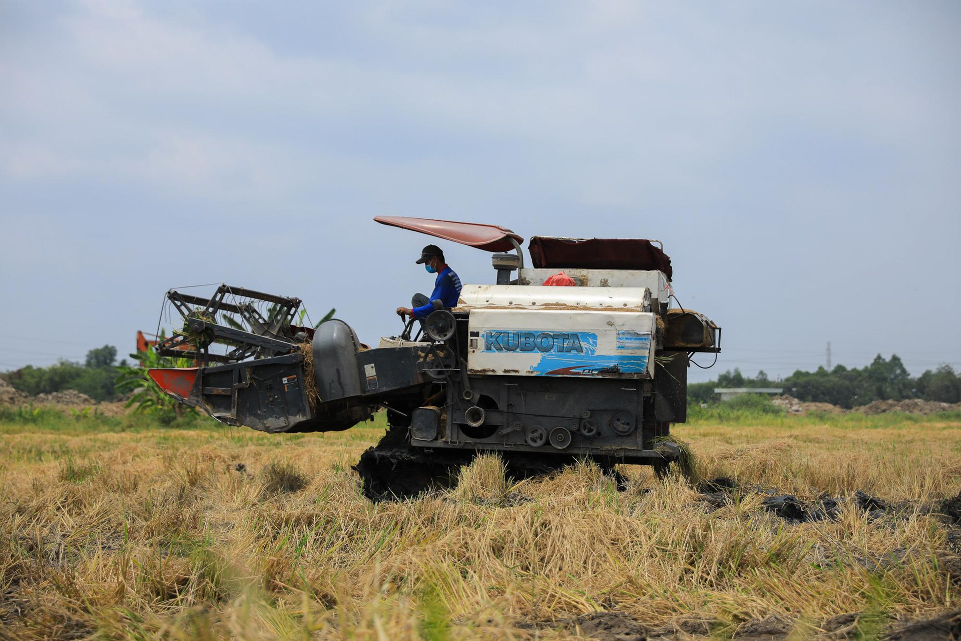 Diện mạo 3 thành phố trực thuộc, chiếm một nửa diện tích TP. HCM tương lai - Ảnh 4. Diện mạo 3 thành phố trực thuộc, chiếm một nửa diện tích TP. HCM tương lai - Ảnh 4.