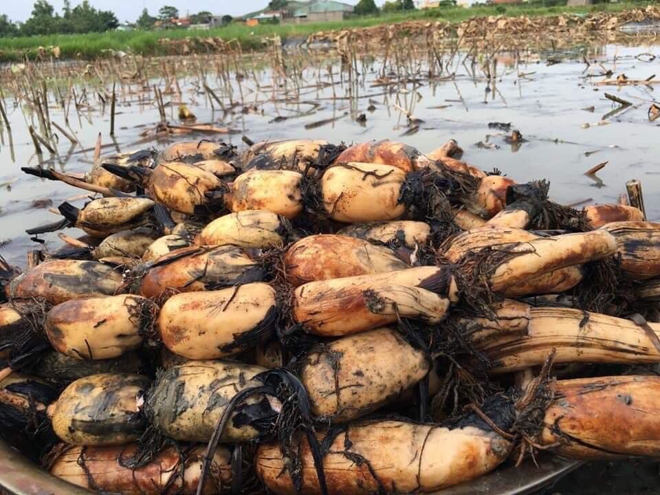 Cô gái 21 tuổi bị 1 kg sán bám đặc gan, bác sĩ cảnh báo nguyên nhân từ 2 thói quen nhiều người mắc - Ảnh 4. Cô gái 21 tuổi bị 1 kg sán bám đặc gan, bác sĩ cảnh báo nguyên nhân từ 2 thói quen nhiều người mắc - Ảnh 4.