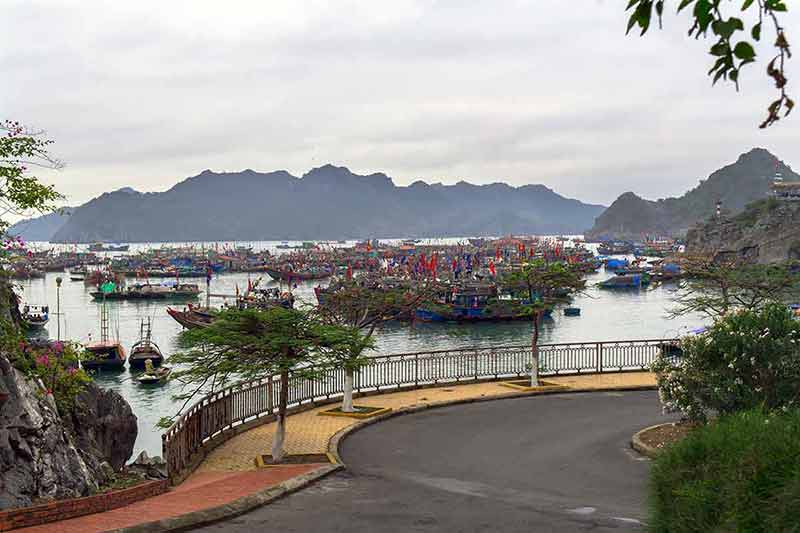 Báo quốc tế gợi ý ghé thăm những hòn đảo đẹp nhất Việt Nam - Ảnh 2.