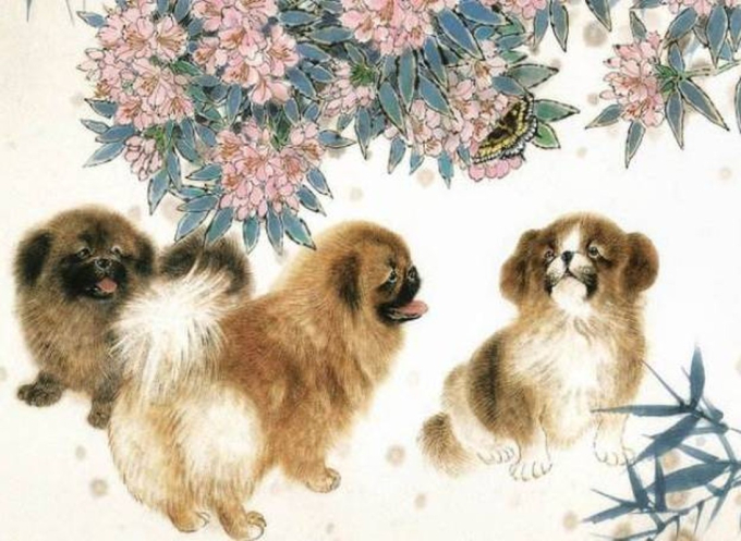 Ngày 11/11, 4 con giáp này thoải mái “chốt đơn” không lo giá cả, lộc lá kéo đến đề huề - Ảnh 3. Ngày 11/11, 4 con giáp này thoải mái “chốt đơn” không lo giá cả, lộc lá kéo đến đề huề - Ảnh 3.