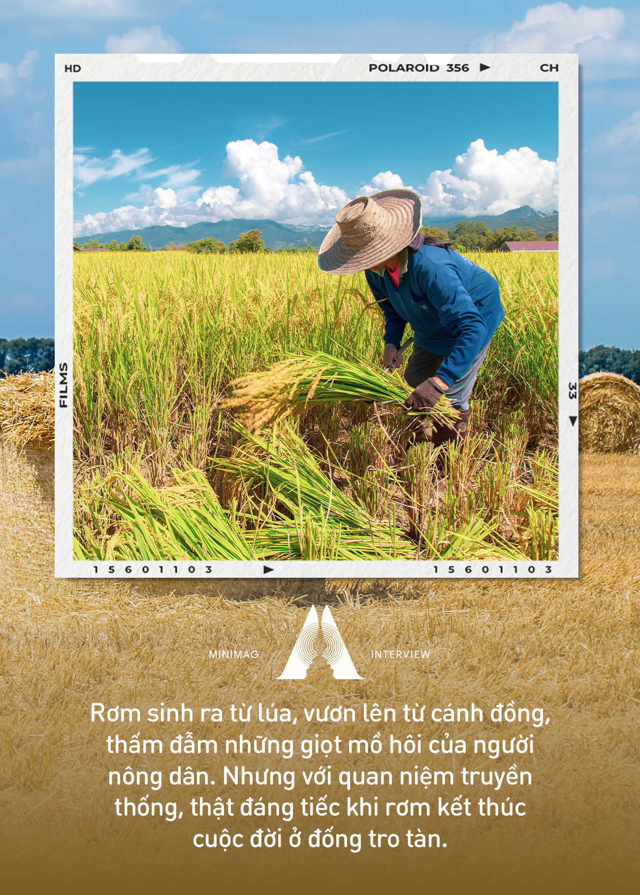 Chuyến đi của Rơm: Sinh ra từ cây lúa, lớn lên ở cánh đồng, làm phân ...