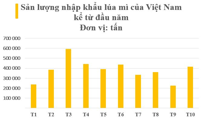 Việt Nam vừa nhập một loại "hạt châu báu" cả thế giới đang thèm khát từ Nga: Giá rẻ cực hấp dẫn, nước ta nhập trăm nghìn tấn mỗi tháng - Ảnh 2.