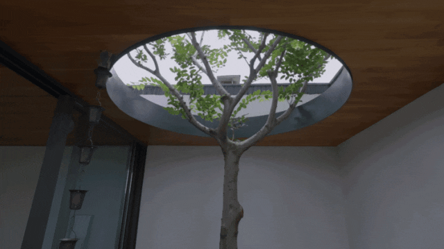 Chiêm ngưỡng căn nhà 500m2 tốn 8 năm mới hoàn thành, có khu vườn và bể cá koi đầy ấn tượng - Ảnh 8. Chiêm ngưỡng căn nhà 500m2 tốn 8 năm mới hoàn thành, có khu vườn và bể cá koi đầy ấn tượng - Ảnh 8.