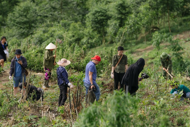 “Ngân hàng cây xanh” TreeBank và câu chuyện lạ: Không cần đất cũng có thể trồng rừng - Ảnh 7.