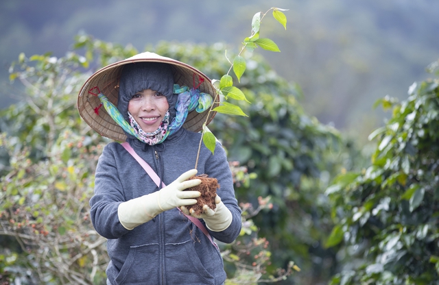 “Ngân hàng cây xanh” TreeBank và câu chuyện lạ: Không cần đất cũng có thể trồng rừng - Ảnh 5.