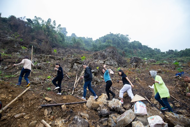 “Ngân hàng cây xanh” TreeBank và câu chuyện lạ: Không cần đất cũng có thể trồng rừng - Ảnh 3.