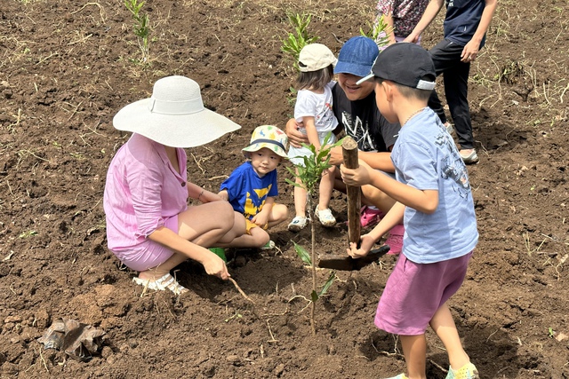 “Ngân hàng cây xanh” TreeBank và câu chuyện lạ: Không cần đất cũng có thể trồng rừng - Ảnh 6.