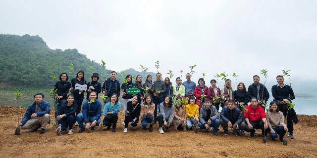 “Ngân hàng cây xanh” TreeBank và câu chuyện lạ: Không cần đất cũng có thể trồng rừng - Ảnh 1.