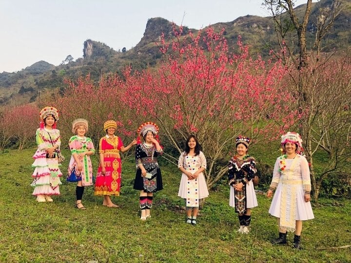 Huyện nghèo nhất nước thoát nghèo nhờ loại cây này - Ảnh 1.