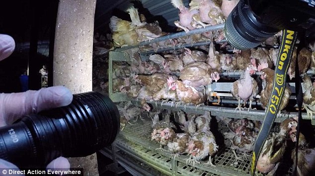 "Sự thật xấu xí" đằng sau món gà quay nguyên con thơm ngon giá chỉ hơn 100k ở siêu thị Mỹ- Ảnh 3.