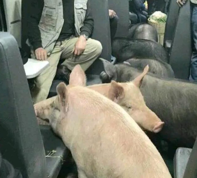 Mua hàng “0 đồng” qua mạng, ngày nhận hàng người phụ nữ chết lặng với cảnh tượng trước mắt - Ảnh 2. Mua hàng “0 đồng” qua mạng, ngày nhận hàng người phụ nữ chết lặng với cảnh tượng trước mắt - Ảnh 2.