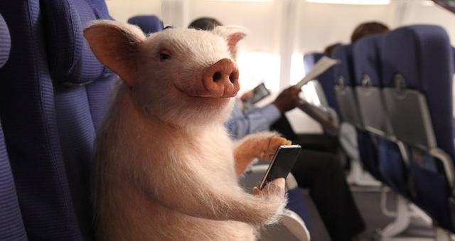 Mua hàng “0 đồng” qua mạng, ngày nhận hàng người phụ nữ chết lặng với cảnh tượng trước mắt - Ảnh 1. Mua hàng “0 đồng” qua mạng, ngày nhận hàng người phụ nữ chết lặng với cảnh tượng trước mắt - Ảnh 1.