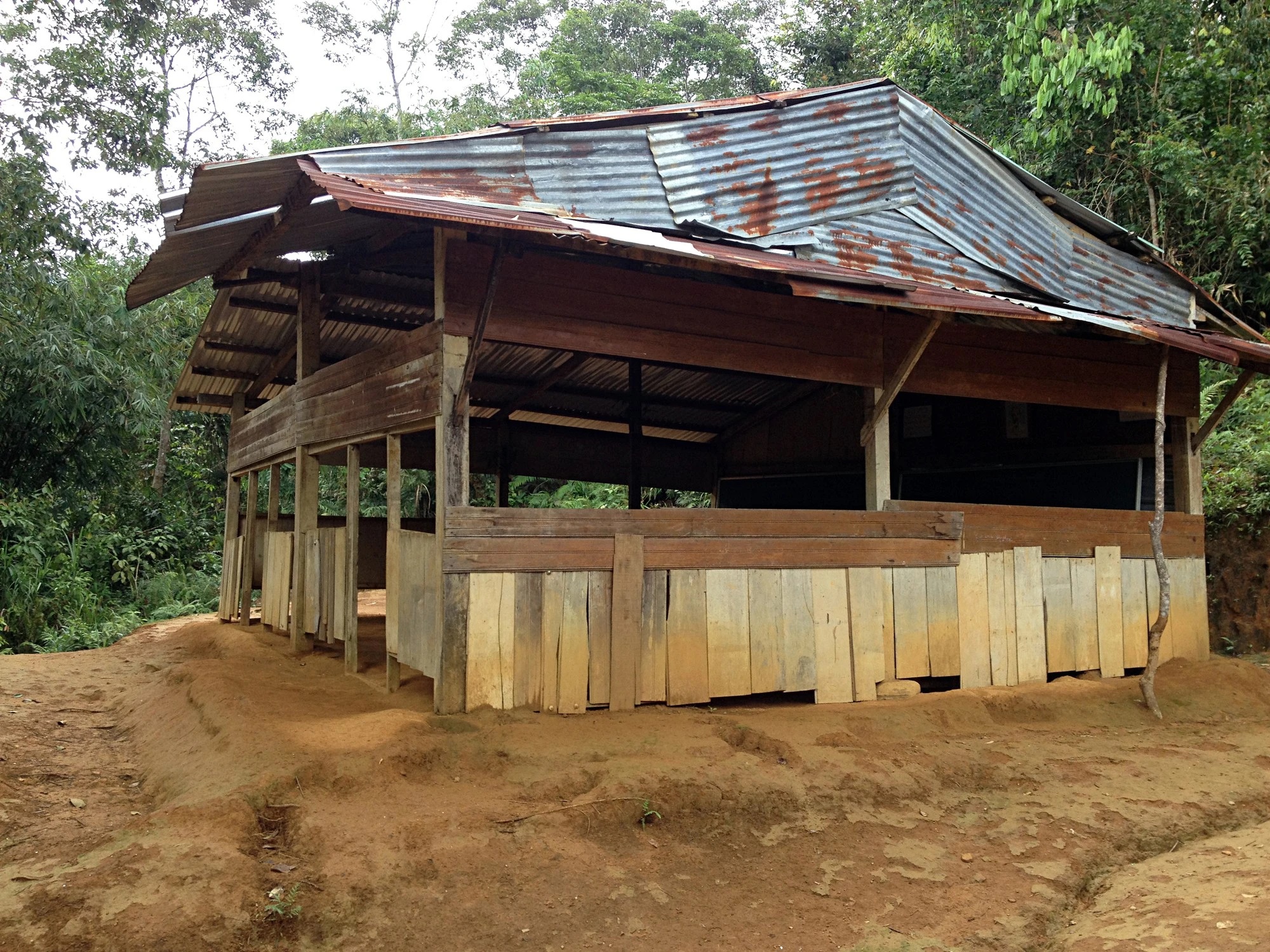 Nhóm bạn trẻ băng rừng, lội suối xây 17 ngôi trường cho học sinh vùng núi: "Các con đừng bỏ học nghe!" - Ảnh 4.