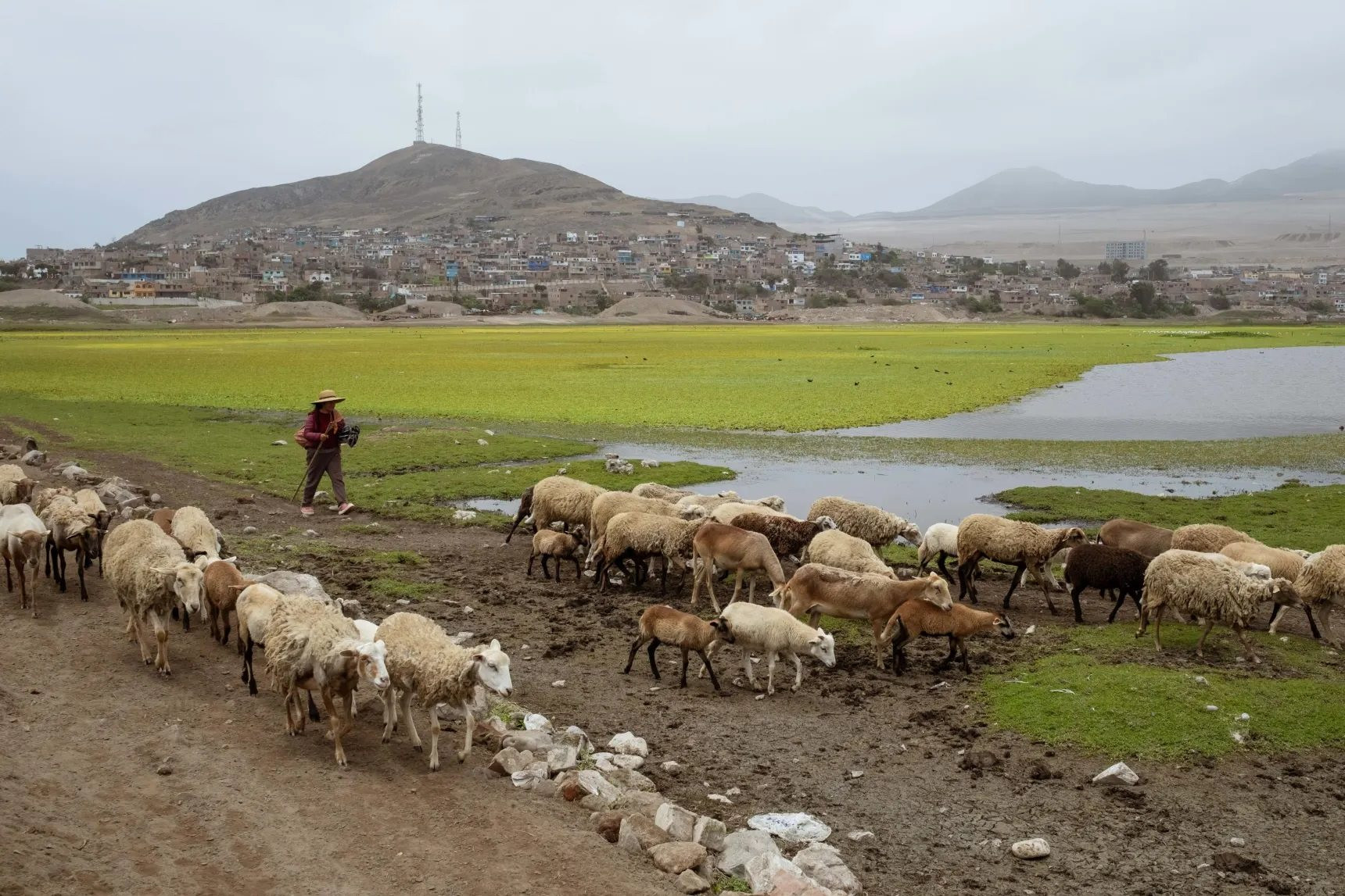 Trung Quốc bơm hàng tỷ USD xây siêu cảng ở khu vực vốn được xem là “sân sau” của Mỹ: Kỳ tích Thượng Hải có lặp lại ở Nam Mỹ? - Ảnh 3.