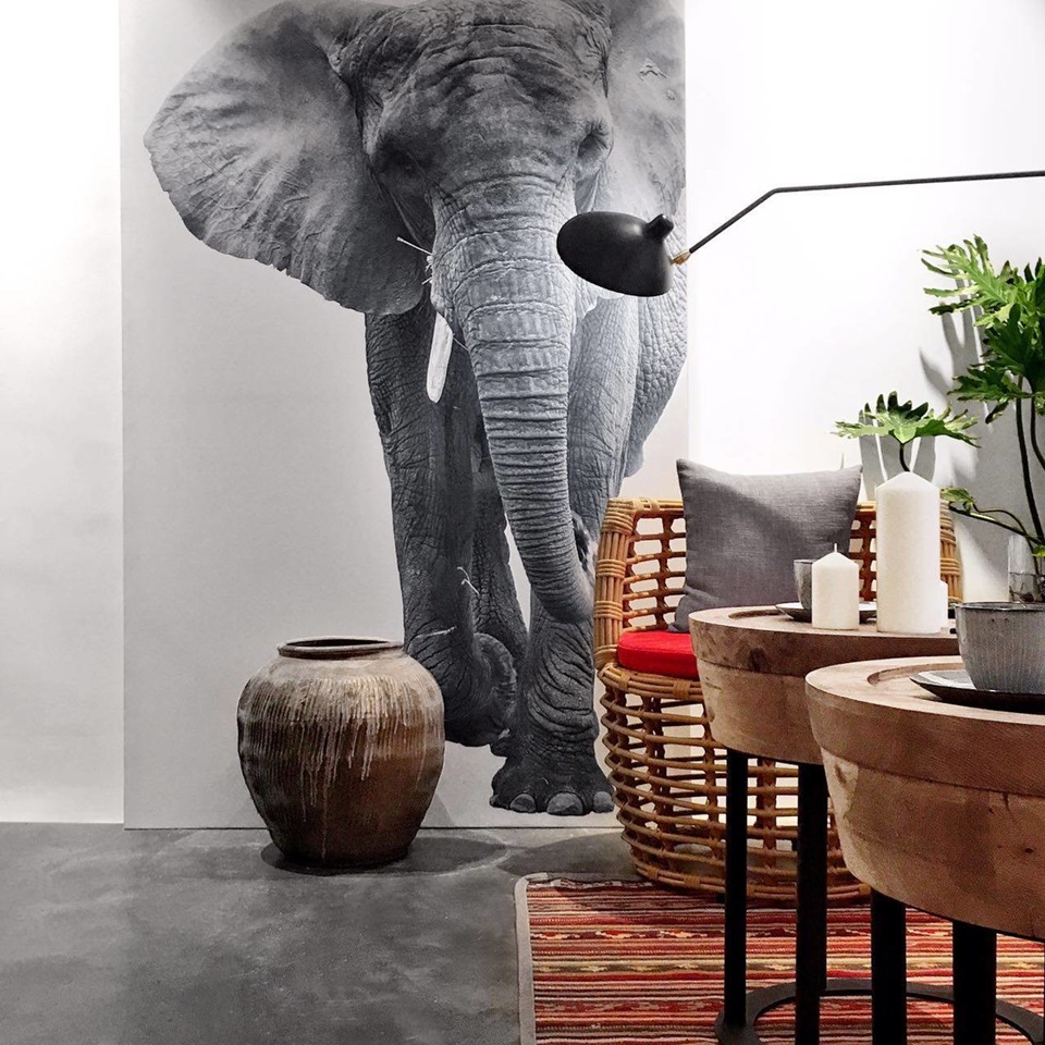 Căn hộ nhỏ và cũ? - Không sao! Vấn đề là bạn cải tạo thế nào- Ảnh 8.