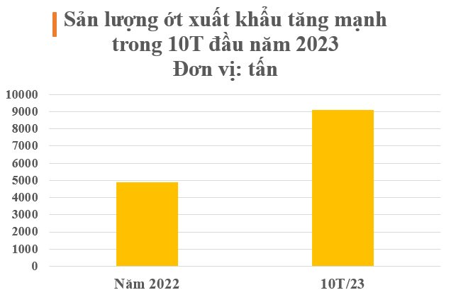 Loại quả ‘vàng treo trên cây’ của Việt Nam được Trung Quốc và Lào ráo riết săn lùng: Xuất khẩu tăng mạnh 120% trong 10 tháng, nước ta có sản lượng hàng chục nghìn tấn mỗi năm - Ảnh 1.