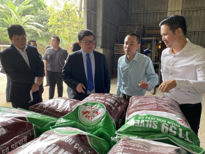 Ngân hàng rao bán tài sản của nhà sản xuất phân bón từng được ông chủ tivi Asanzo tự nhận đầu tư - Ảnh 1.