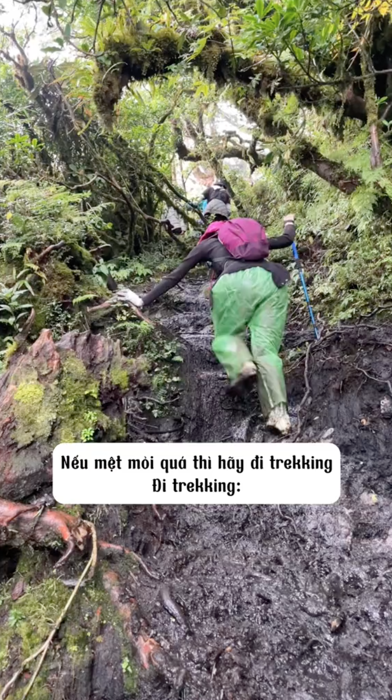 Cô gái chọn đi trekking để "chữa lành", kết quả thế nào mà "không nói nên lời"?- Ảnh 1.