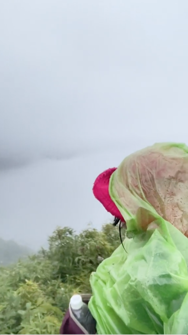 Cô gái chọn đi trekking để "chữa lành", kết quả thế nào mà "không nói nên lời"?- Ảnh 6.