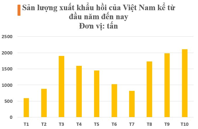 Sản vật triệu đô cực hiếm trên thế giới mọc đầy tại Việt Nam: Ấn Độ, Mỹ, Trung Quốc đua nhau săn lùng, nước ta cạnh tranh với Trung Quốc thống trị nguồn cung toàn cầu - Ảnh 2.