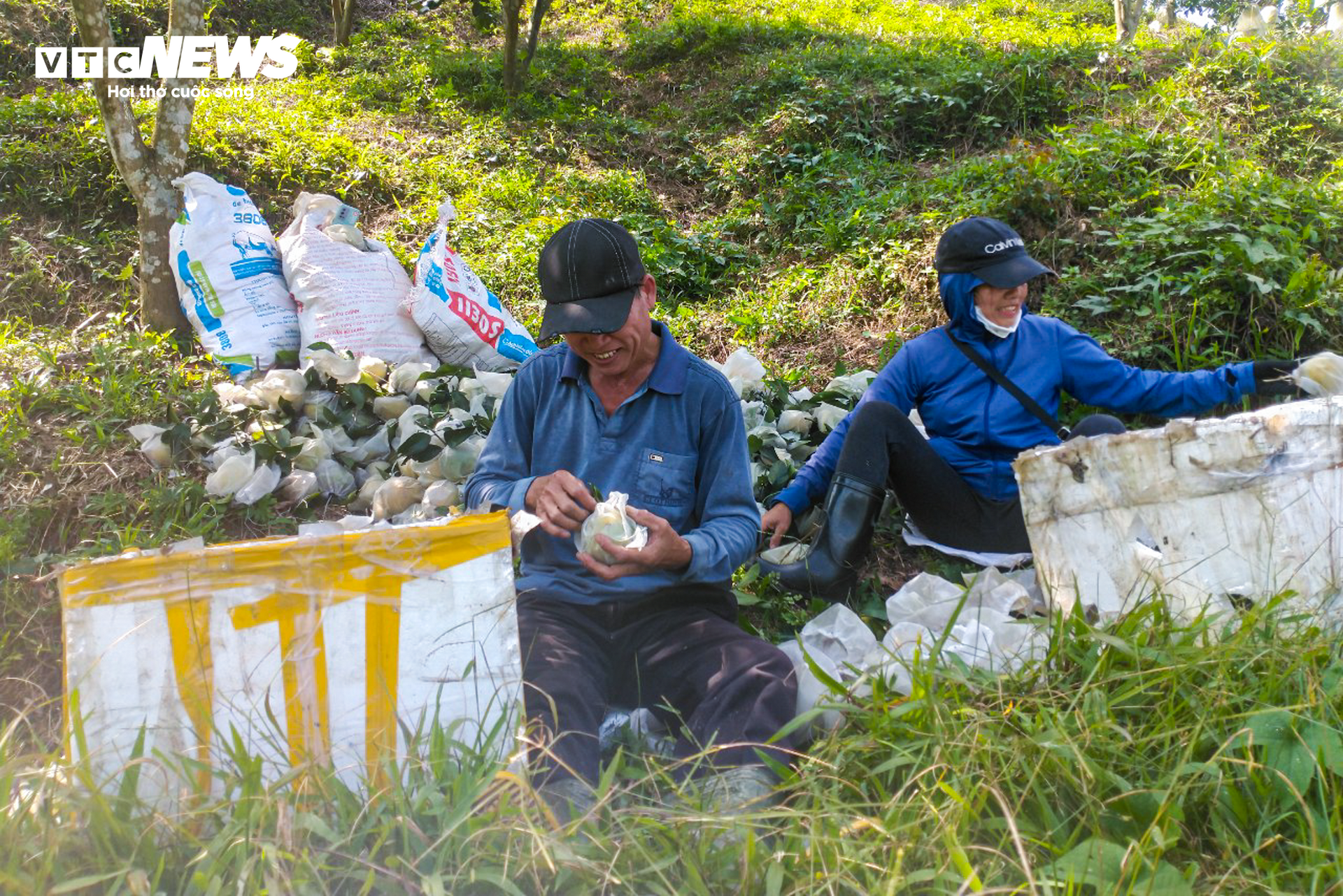 Thủ phủ cam Hà Tĩnh vào mùa, bán giá cao vẫn ‘cháy’ hàng - Ảnh 9.