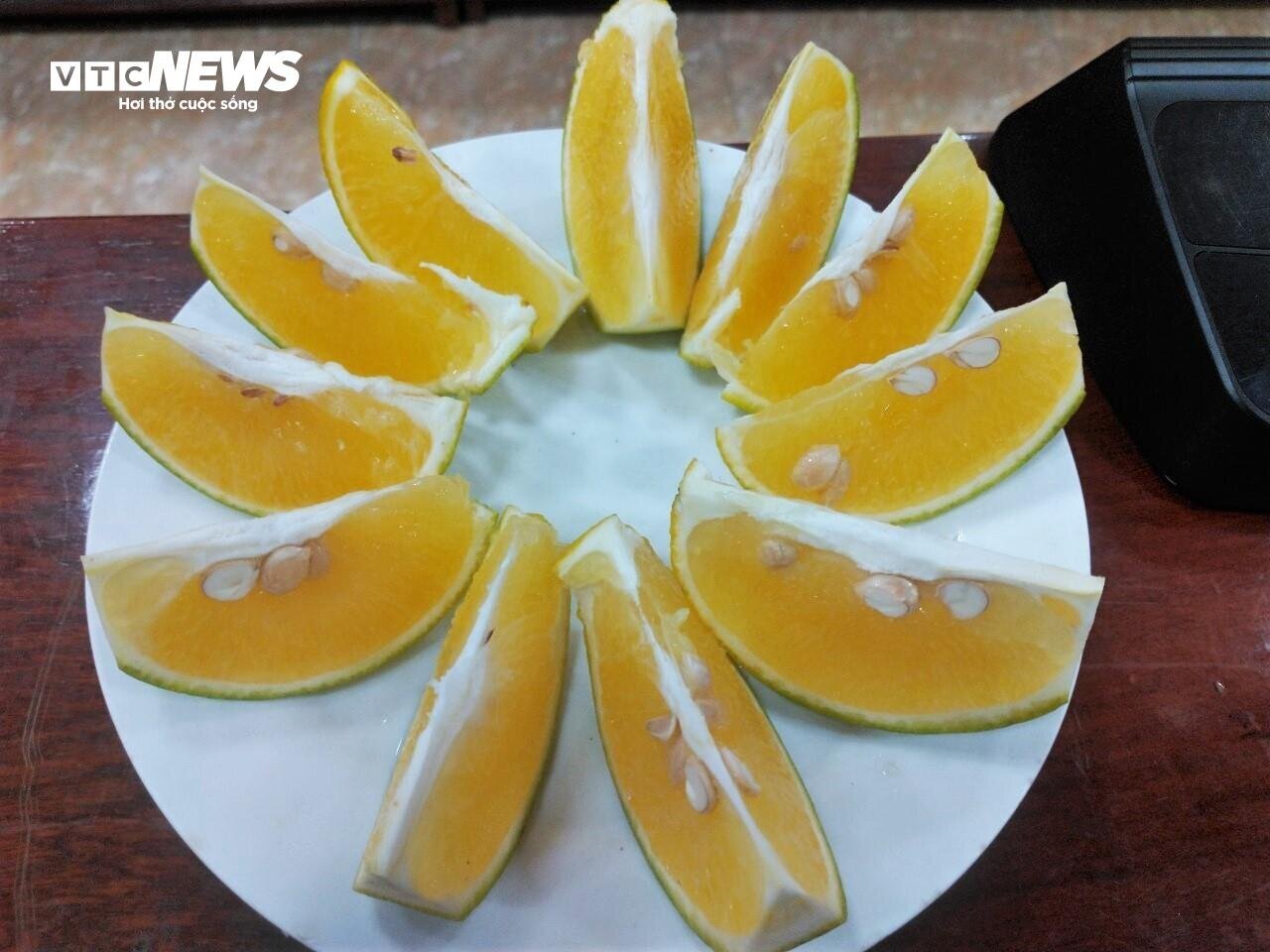 Thủ phủ cam Hà Tĩnh vào mùa, bán giá cao vẫn ‘cháy’ hàng - Ảnh 15.