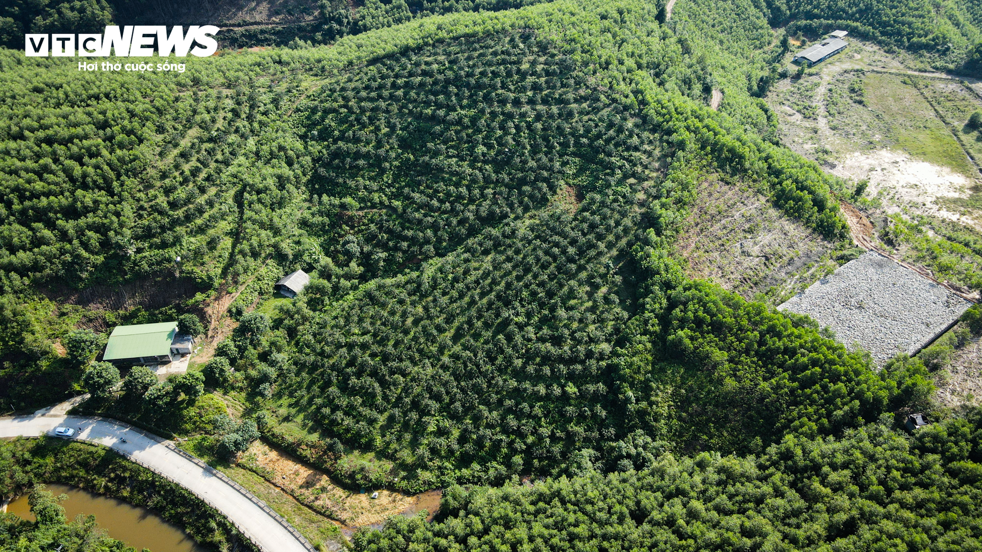 Thủ phủ cam Hà Tĩnh vào mùa, bán giá cao vẫn ‘cháy’ hàng - Ảnh 1.