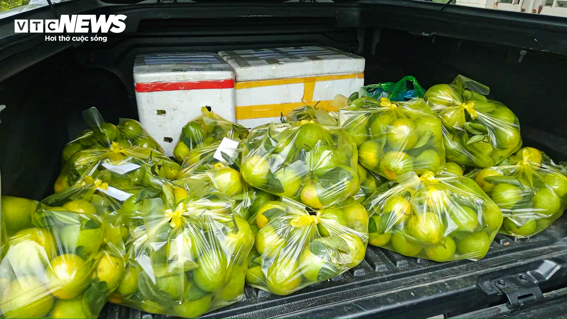 Thủ phủ cam Hà Tĩnh vào mùa, bán giá cao vẫn ‘cháy’ hàng - Ảnh 12.