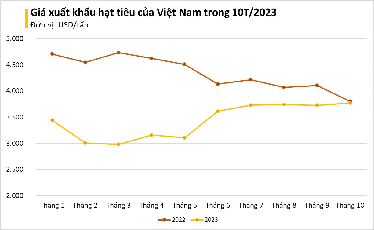 Việt Nam sở hữu 'vàng đen' được Ấn Độ liên tục săn lùng: xuất khẩu tăng đột biến hơn 500%, Việt Nam nắm 'trùm' sản lượng thế giới - Ảnh 2. Việt Nam sở hữu 'vàng đen' được Ấn Độ liên tục săn lùng: xuất khẩu tăng đột biến hơn 500%, Việt Nam nắm 'trùm' sản lượng thế giới - Ảnh 2.