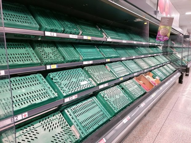 Cảnh tượng chưa từng thấy trong siêu thị ở Anh, lễ Giáng sinh của người dân nước này có nguy cơ bị &quot;hủy hoại&quot; vì thiếu thứ quan trọng - Ảnh 1.