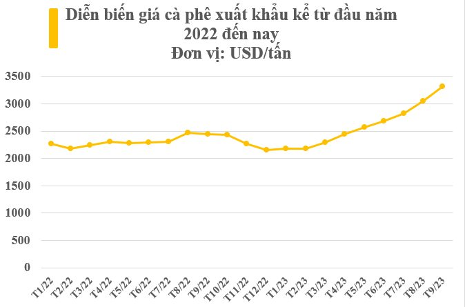 Có sản lượng lớn thứ 2 thế giới, 'vàng nâu' của Việt Nam đang được các ...