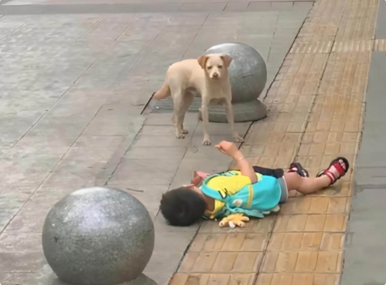 Con liên tục lăn lộn ăn vạ trên đường, người mẹ có cách làm khiến nhiều người phục: Đây là lý do vì sao có trẻ ngoan, trẻ hư! - Ảnh 1. Con liên tục lăn lộn ăn vạ trên đường, người mẹ có cách làm khiến nhiều người phục: Đây là lý do vì sao có trẻ ngoan, trẻ hư! - Ảnh 1.