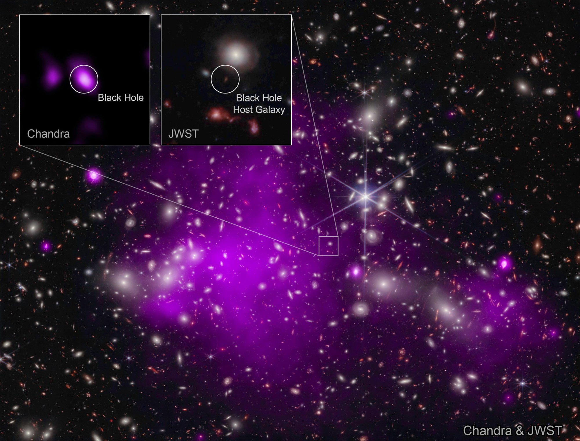 NASA: Lỗ đen phá kỷ lục được phát hiện bởi kính viễn vọng Webb và Chandra - Ảnh 1.