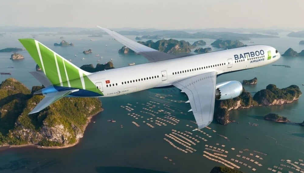 Bamboo Airways chậm trễ nộp thuế với Bình Định là do hoàn cảnh khách quan tác động trong ngắn hạn - Ảnh 1.