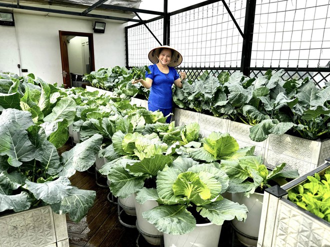 "Khu vườn trên mây" ngốn bạc tỷ của cô giáo Hà Nội: Rau trái đắt hơn vàng, là không gian chữa lành - Ảnh 23.