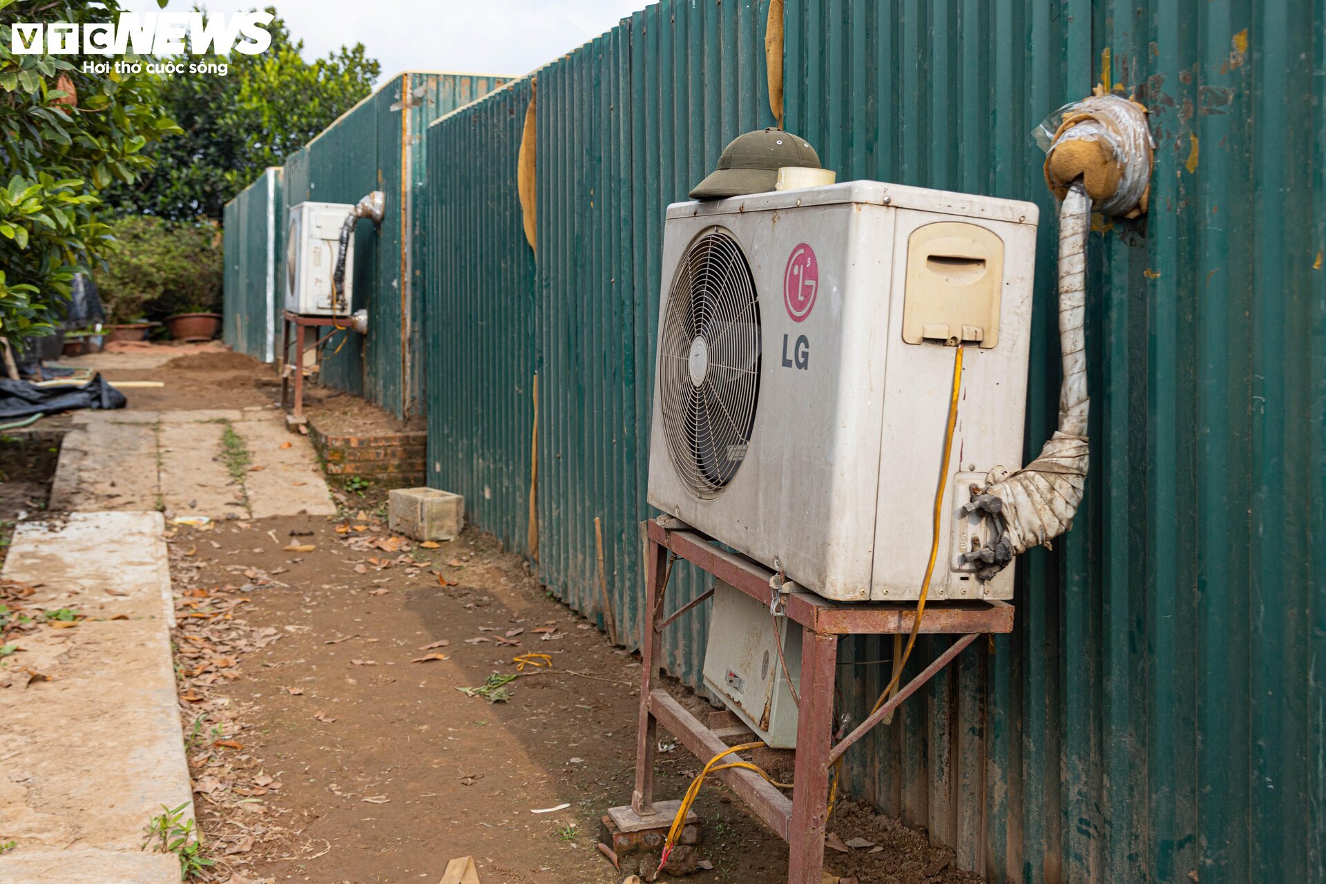 Cận cảnh đào Thất Thốn tiền triệu bị ép 'ngủ' phòng điều hòa để nở hoa trúng Tết - Ảnh 6.