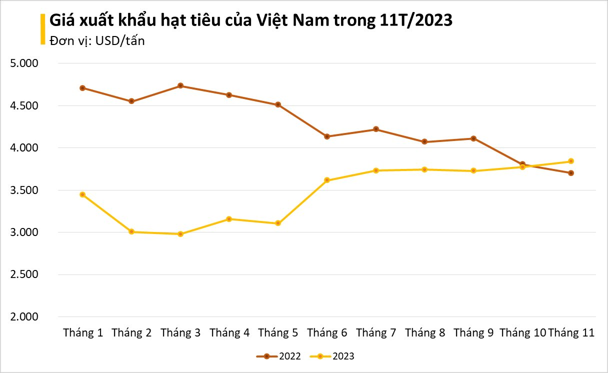 Một loại 'vàng đen' của Việt Nam bỗng ồ ạt đổ bộ Tây Phi: xuất khẩu tăng nóng hơn 200%, cả thế giới phụ thuộc vào Việt Nam - Ảnh 2. Một loại 'vàng đen' của Việt Nam bỗng ồ ạt đổ bộ Tây Phi: xuất khẩu tăng nóng hơn 200%, cả thế giới phụ thuộc vào Việt Nam - Ảnh 2.