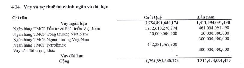 Cổ phiếu Chứng khoán DSC tăng vọt, tài sản thiếu gia nhà Tập đoàn Thành Công tăng hàng trăm tỷ đồng - Ảnh 2.