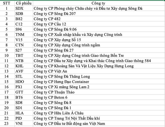 Hẩm hiu cổ phiếu 'vua cá tra' và bài học 'vung tay quá trán' - Ảnh 2.