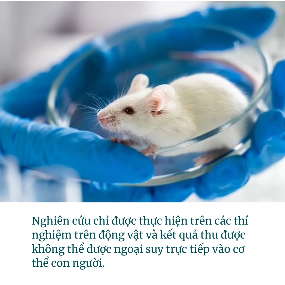 Nghiên cứu của Harvard: Cách hít thở “đặc biệt” giúp kéo dài tuổi thọ 50%? Tiết lộ 5 thói quen trường thọ được người trăm tuổi công nhận - Ảnh 2. Nghiên cứu của Harvard: Cách hít thở “đặc biệt” giúp kéo dài tuổi thọ 50%? Tiết lộ 5 thói quen trường thọ được người trăm tuổi công nhận - Ảnh 2.